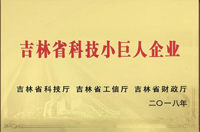 吉林省科技小巨人企业